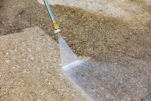 Best House Exterior Washing  in Johnsburg, IL